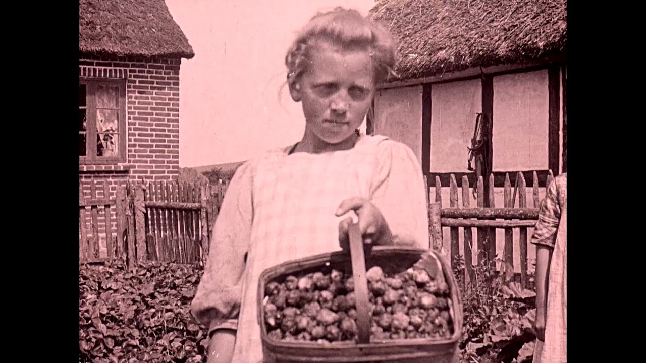 Den Jyske Hede  -  (uden lyd)