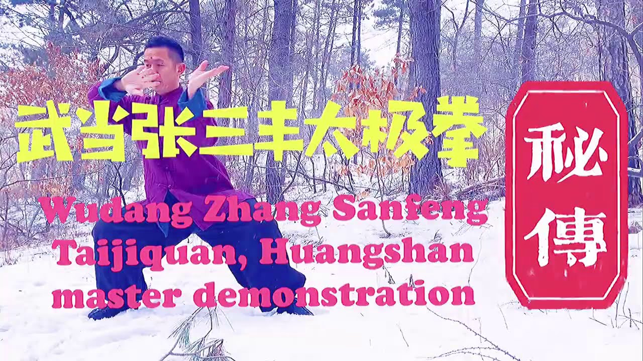 It takes one word to practice Tai Chi, Wudang Taoist secret Tai Chi 36 style demonstration  | 武当秘传太极