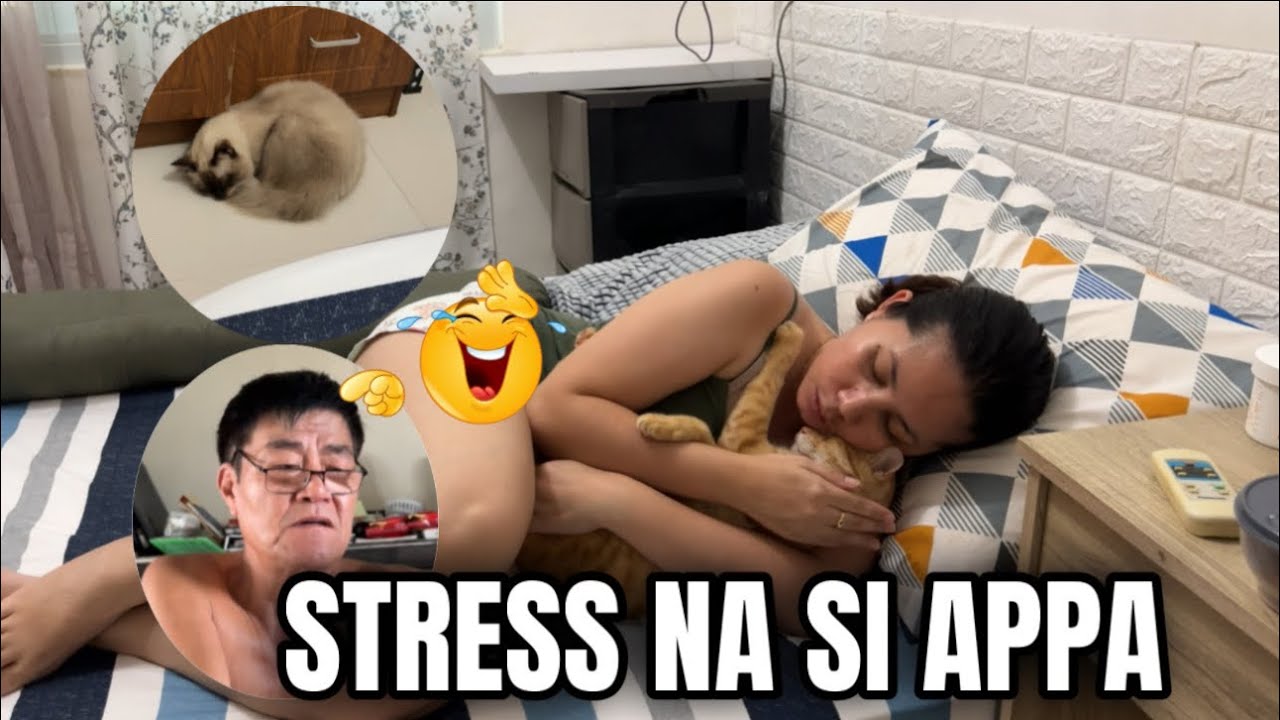 HINDI MAGAMIT NI APPA ANG PRINTER DAHIL SA PUSA | FUR PARENTS VLOG | MOMARENYANN