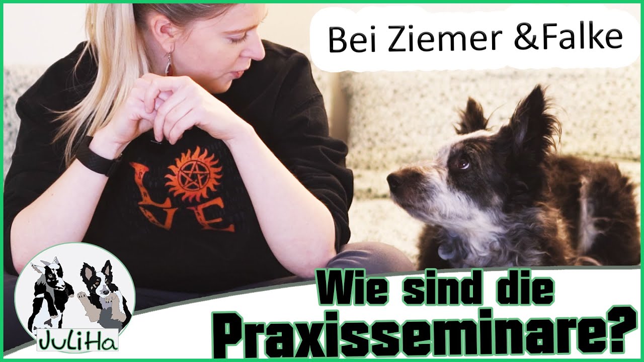 Hundetrainer Ausbildung 🐶| Die Praxistage | Ziemer & Falke