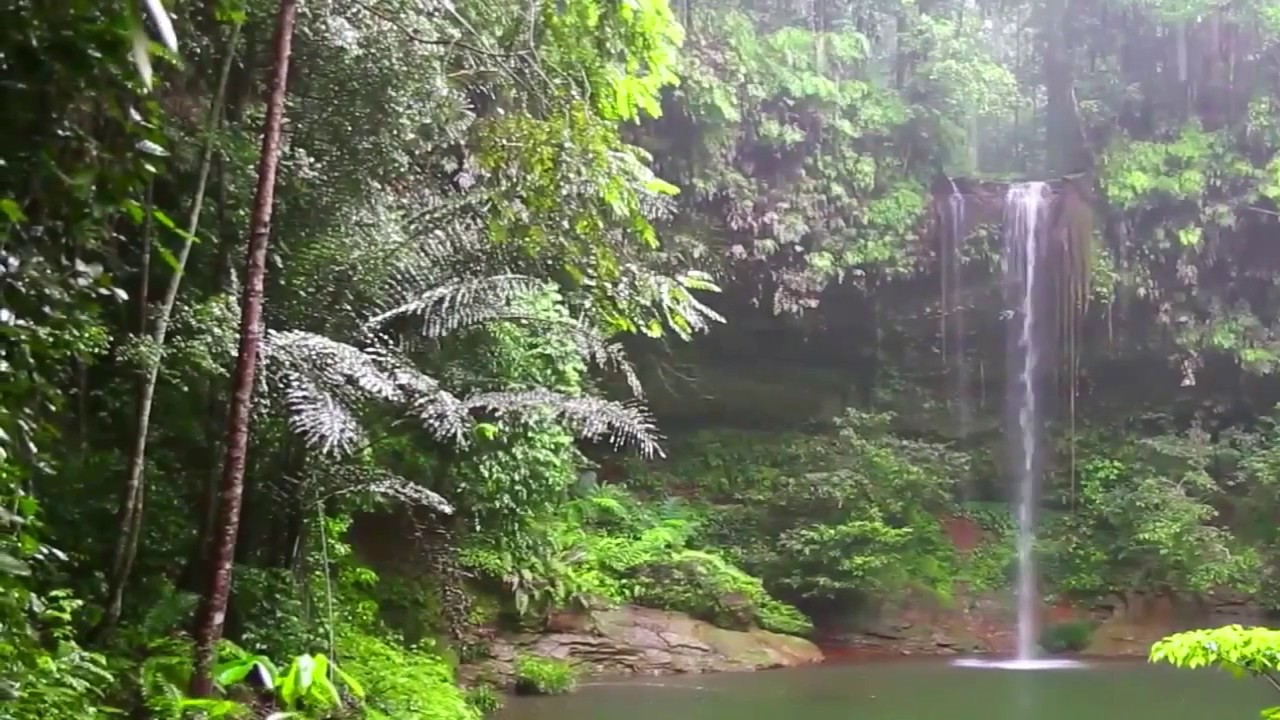 Nature Sounds of rain, water falls, thunder and birds | Back to nature