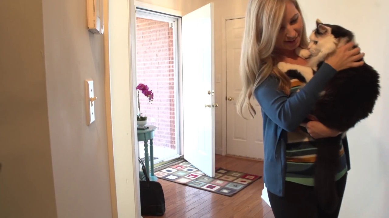 PetSafe Simply Clean Automatic Cat Litter Box