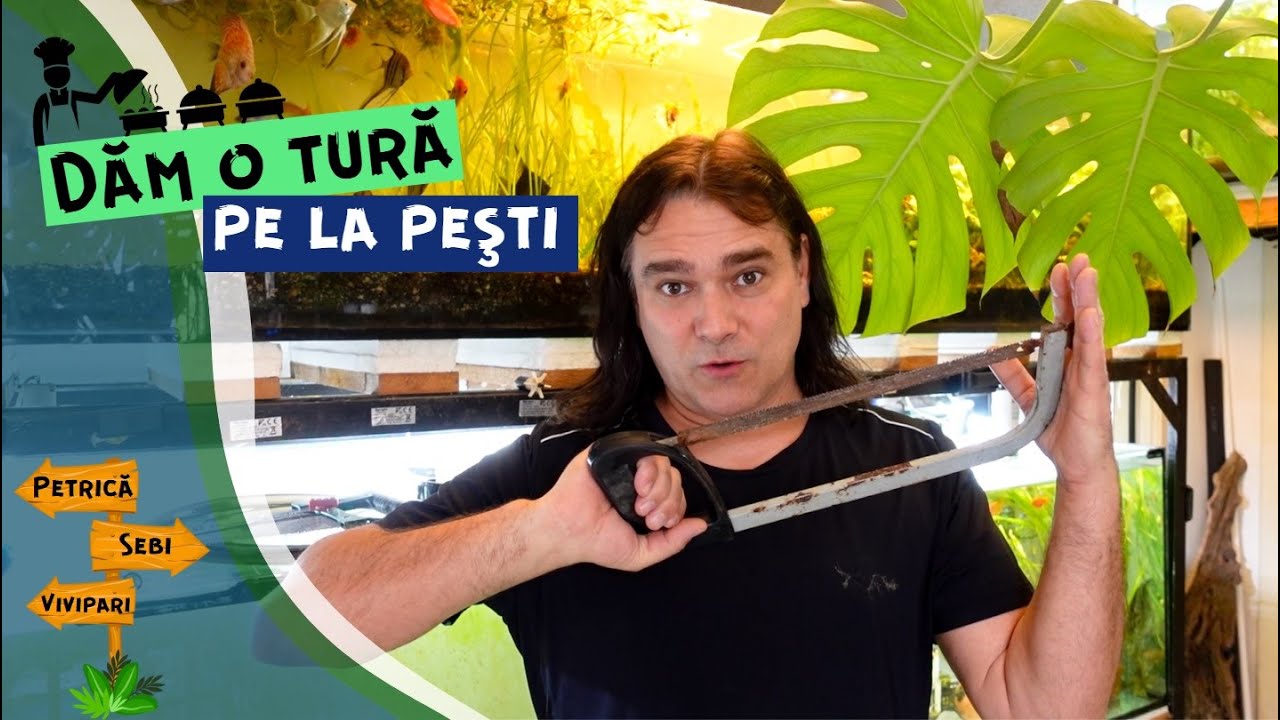 Vlog #33 | Dau mancare la pesti si fac o tura pe la acvarii