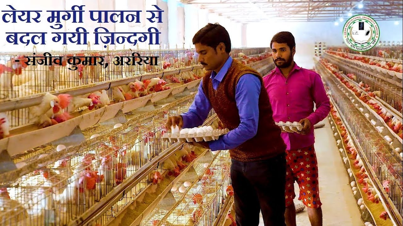 Layer Poultry Farming || लेयर पोल्ट्री फार्म से बदल गयी ज़िन्दगी || संजीव कुमार, अररिया, बिहार