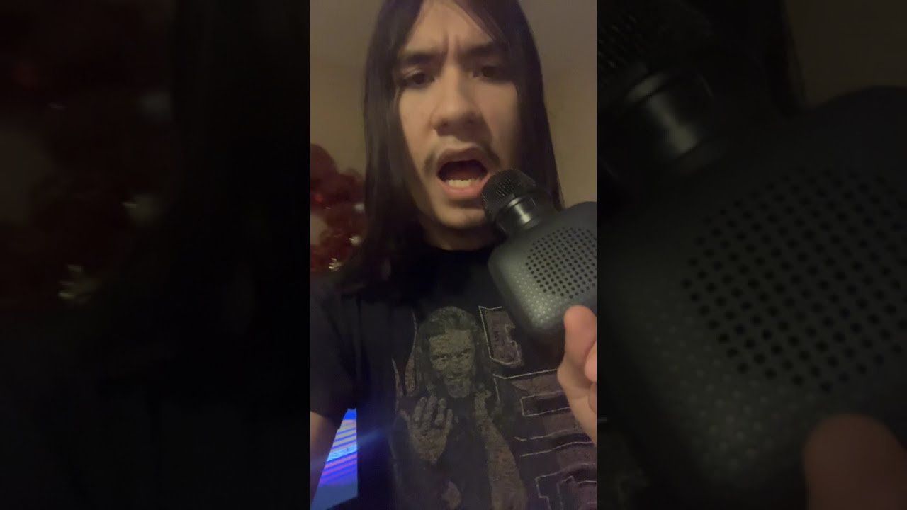 I was singing boyfriend by big Time rush autotune version 