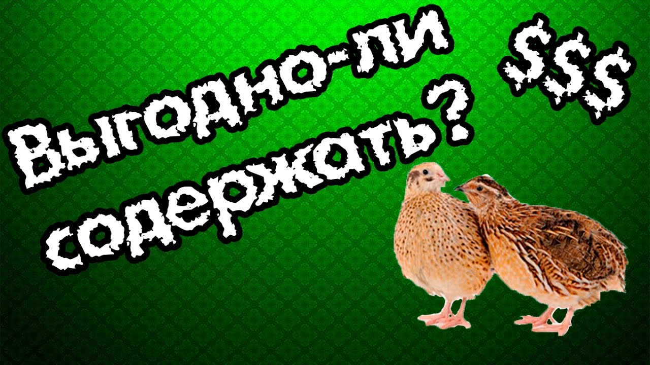 Выгодные перепела.
