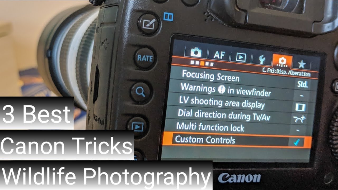 3 BEST CANON TRICKS || 7d MKii || Step up your wildlife photography
