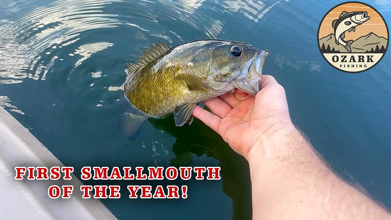 Early Spring Bass Fishing in Arkansas!