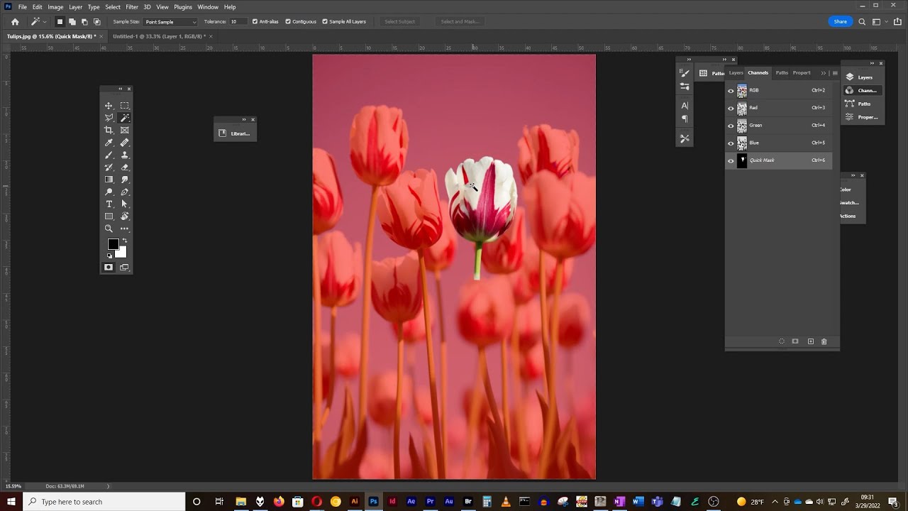 Making refined selections with the Quick Mask in Photoshop