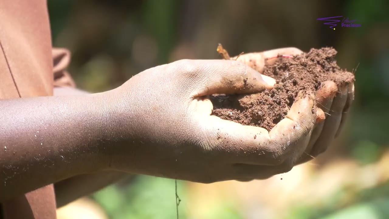 Land preparation must do, for strawberry farming.