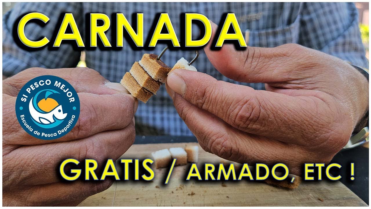 CARNADA GRATIS / ARMADO - BAGRE - CARPA - ETC.