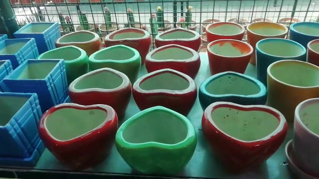 Kerala Nursery