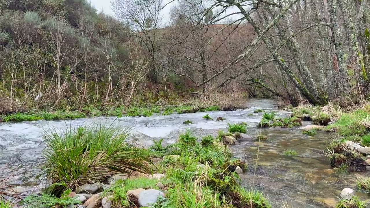 Una hora de SONIDOS DE AGUA 💦💦💦 | Ideales para dormir, estudiar, relajarse, meditar y disfrutar.