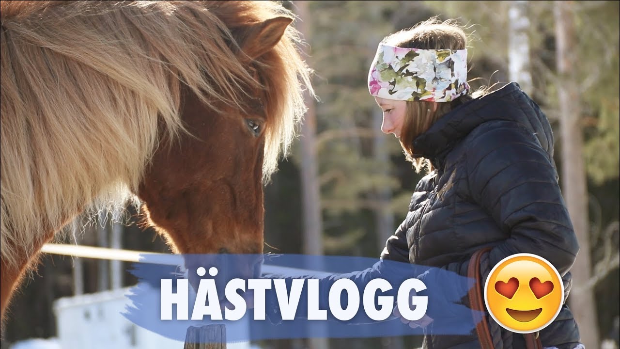 VLOGG I STALLET