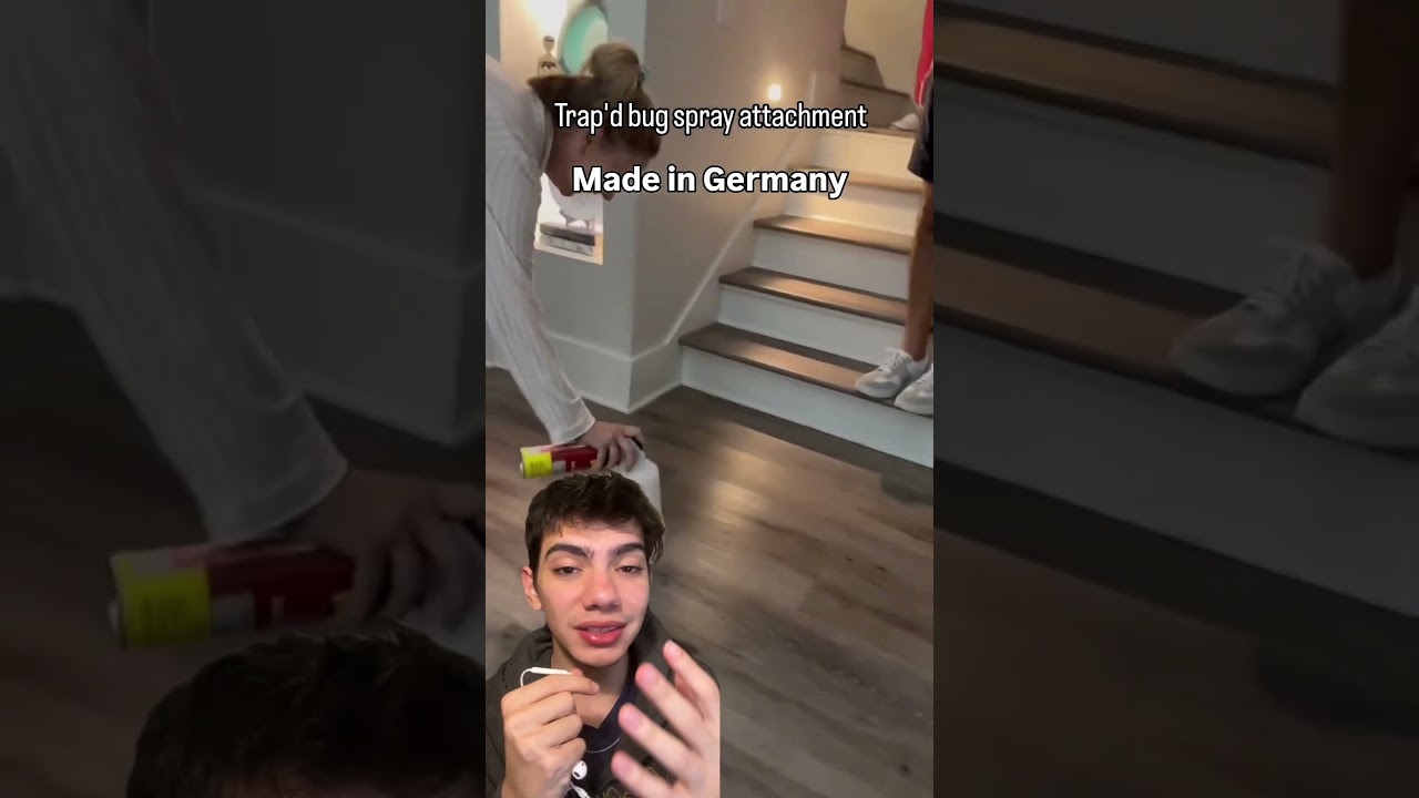 Como eliminar baratas facilmente com essa invenção alemã: 