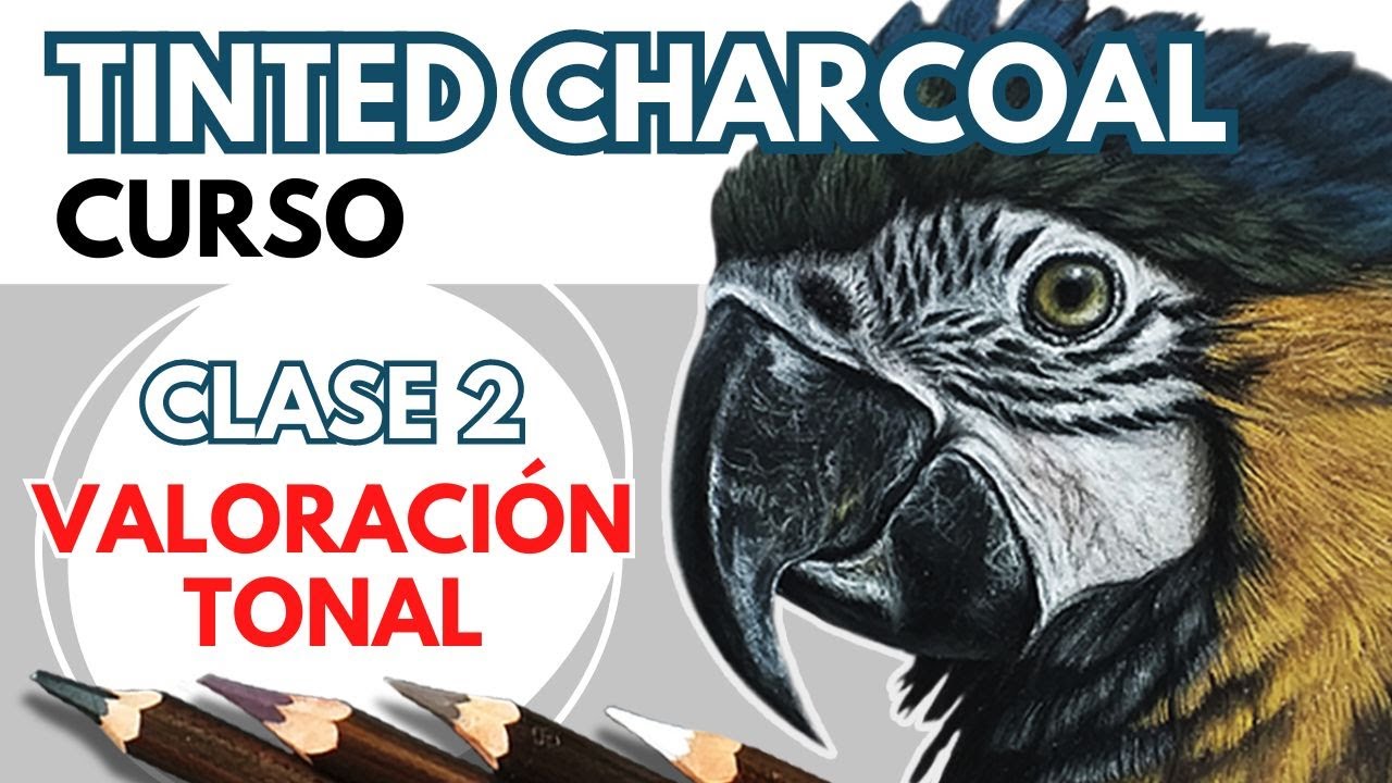 🎨 VALORACIÓN TONAL - Derwent TINTED CHARCOAL PENCILS - CARBONCILLOS de COLORES