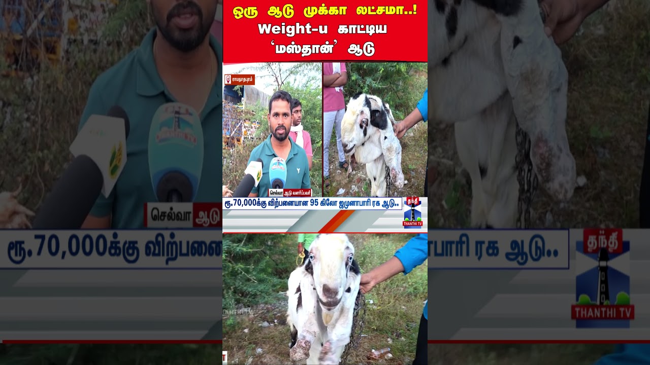 ramzan | jamunapari | goat | biriyani