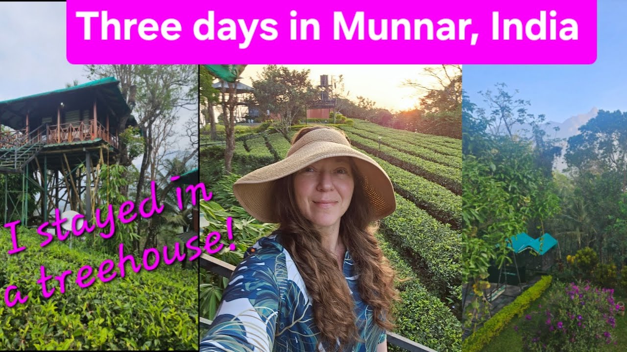 Three days at a treehouse in Munnar, India 