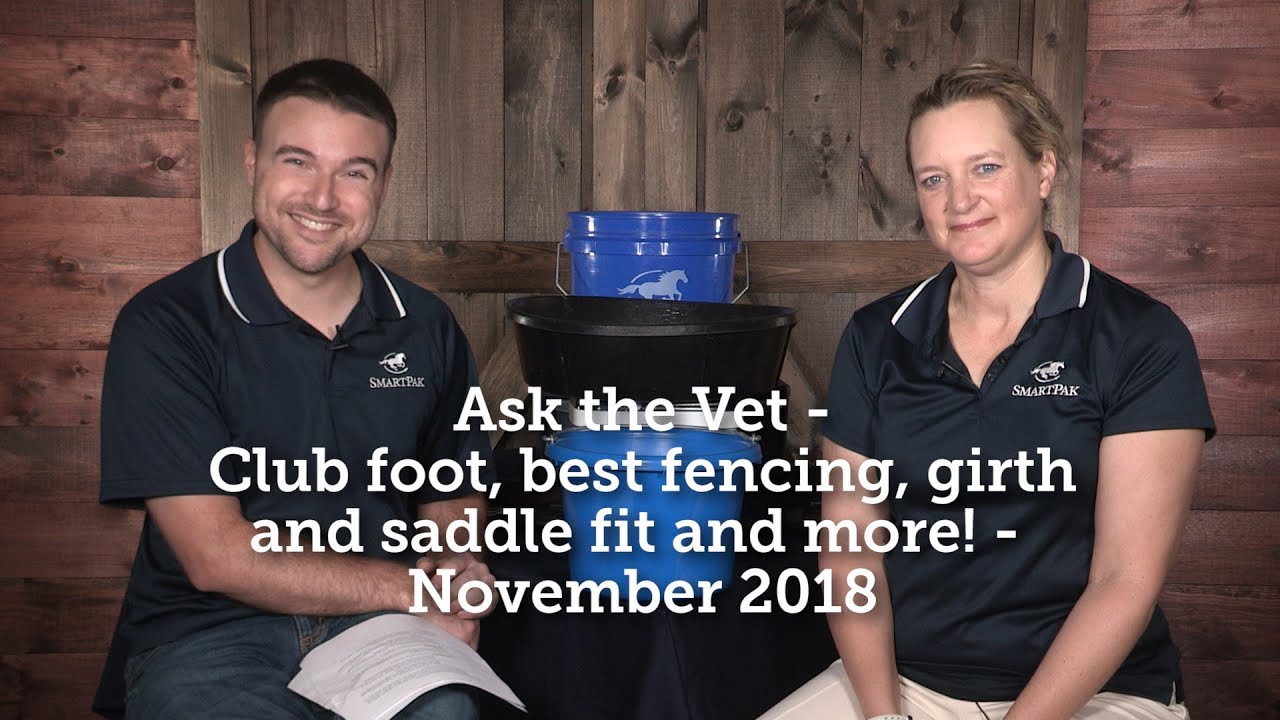 Ask the Vet - Club foot, best fencing, girth and saddle fit & more! - November 2018