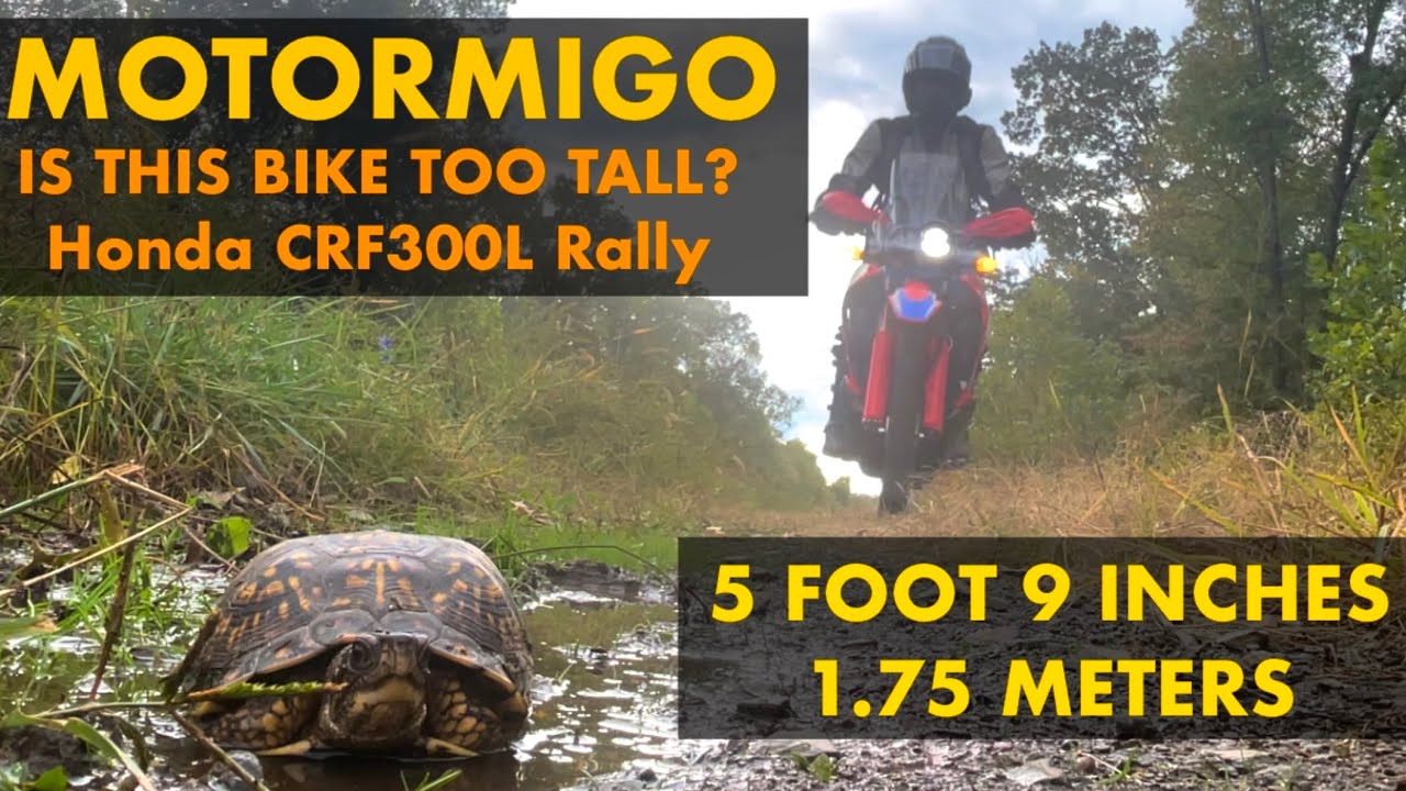 Honda CRF300L Rally: Is This Bike Too Tall?