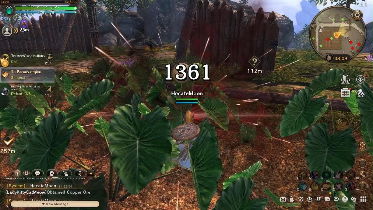 Eternal Kingdom Battle Peak