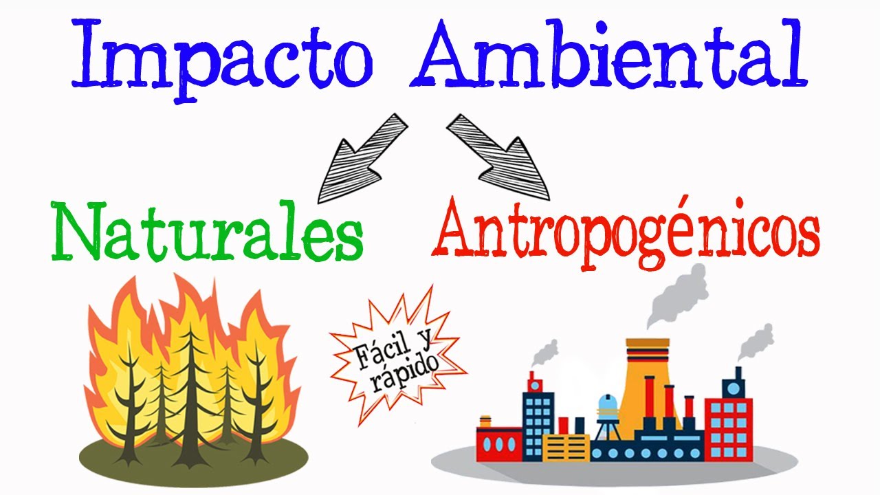 🔥Impacto Ambiental🌳 [Fácil y Rápido] | BIOLOGÍA |