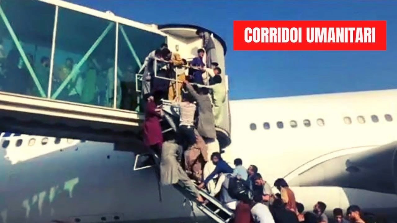 🆕𝘿𝙄𝙍𝙄𝙏𝙏𝙊 𝙄𝙉 𝙋𝙄𝙇𝙇𝙊𝙇𝙀 ⚖️ ➡️ Corridoi umanitari ✅