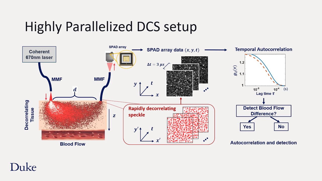 Introduction to Parallelized Diffuse Correlation Spectroscopy