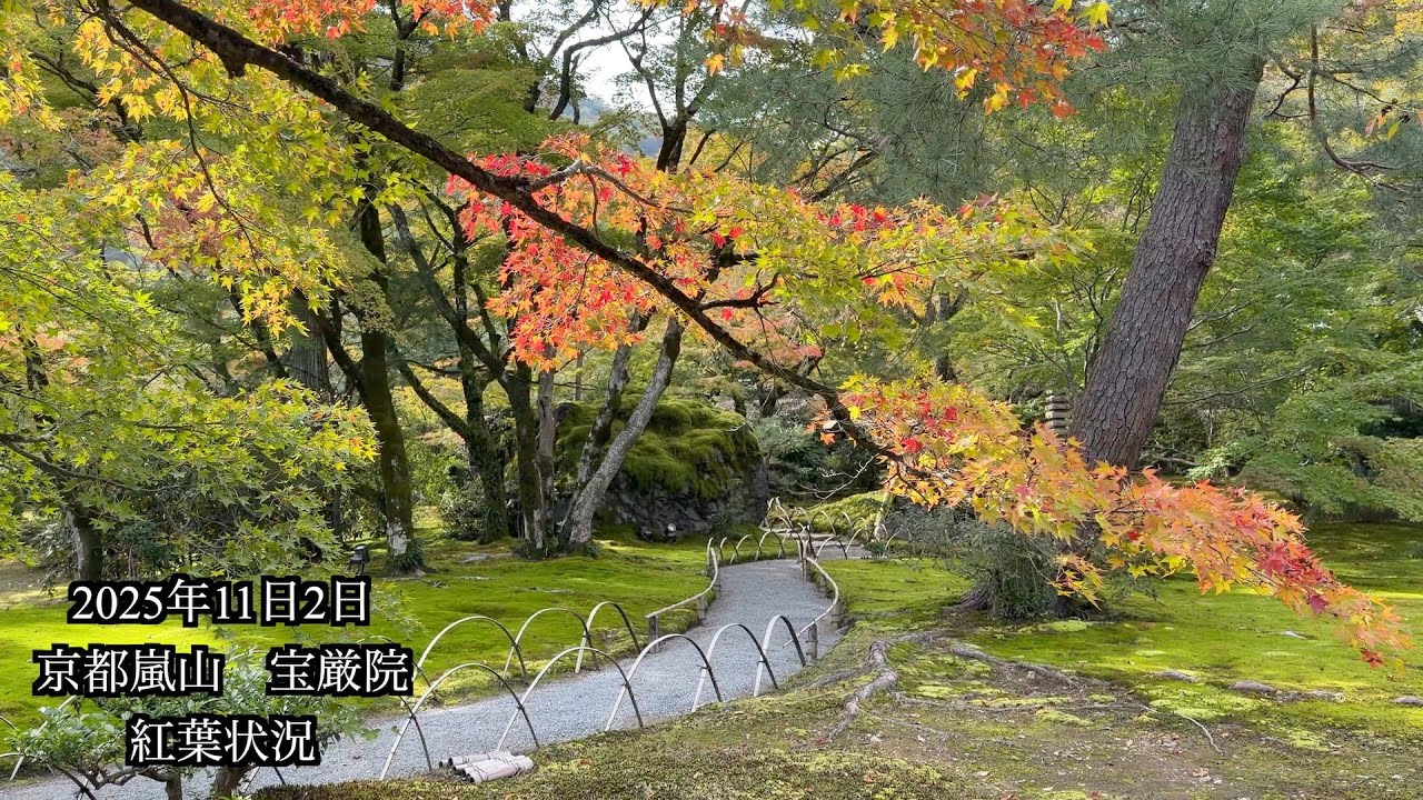 【2025紅葉シーズン開幕】京都嵐山・宝厳院の絶景庭園を歩く