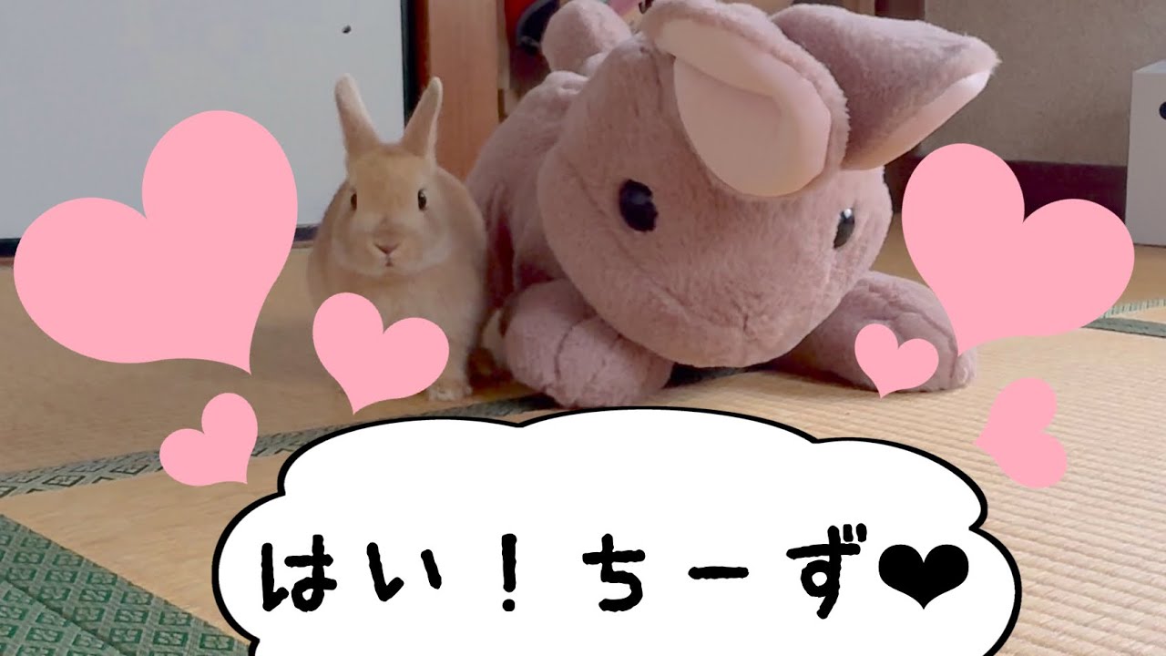 お家をおさんぽ♪