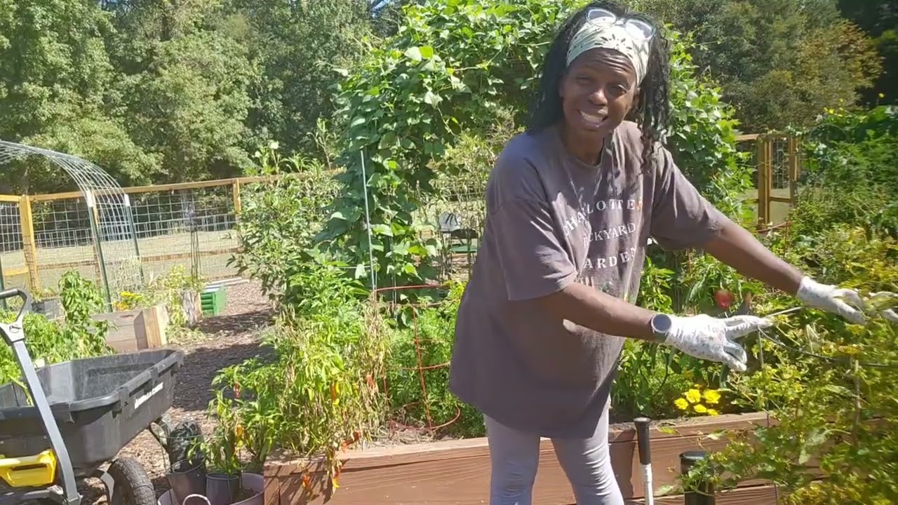 Уборка летнего сада. Зона 8a, США.