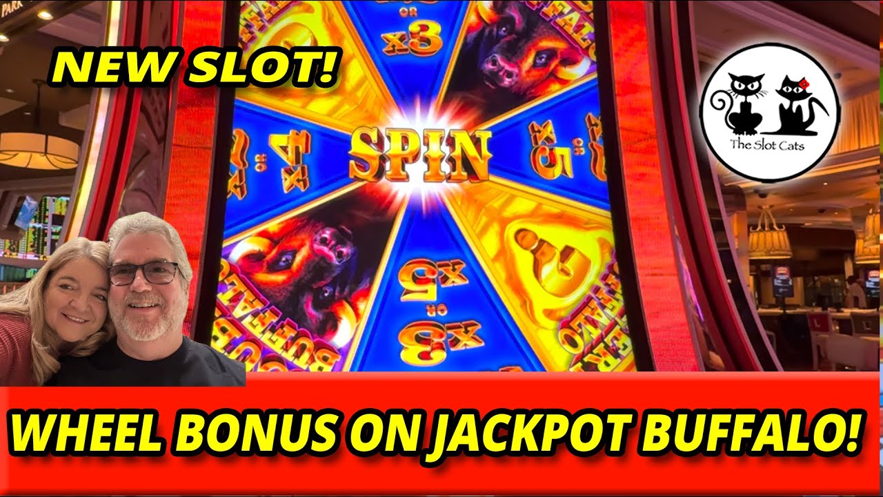 НОВЫЙ ДЖЕКПОТ СЛОТА BUFFALO! ВЫИГРАЙТЕ БОНУС ЗА ВОЗВРАЩЕНИЕ! #theslotcats #slots #buffalo #выигры...