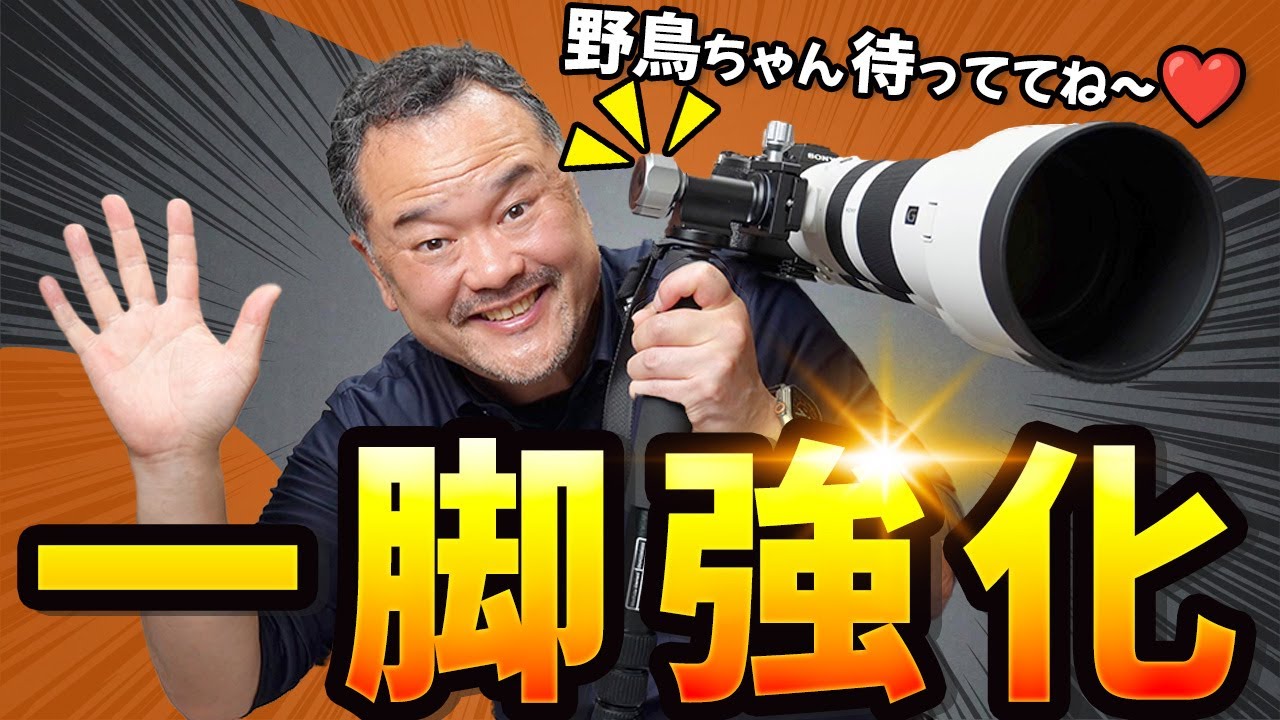 Leofoto MPG-01雲台＆石突で一脚パワーアップ！…のはずが！？【野鳥撮影準備】