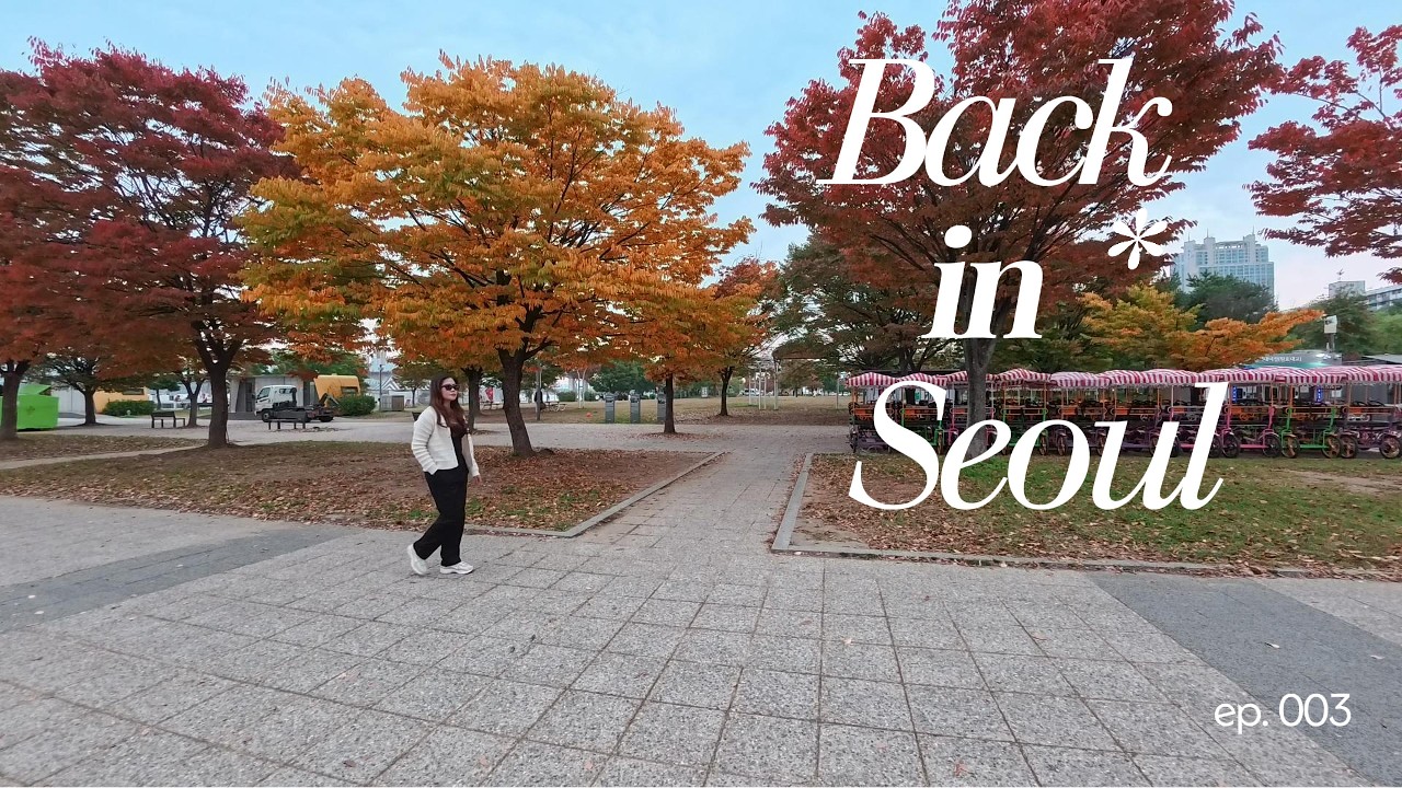 AUTUMN IN SEOUL I PART 3 I OCTOBER I SOLO TRAVEL