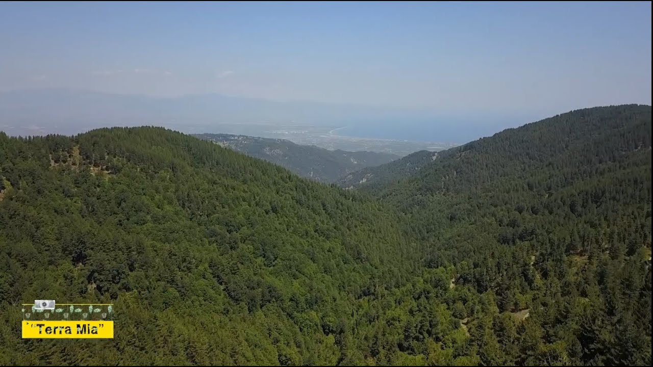 Calabria, la Sila greca