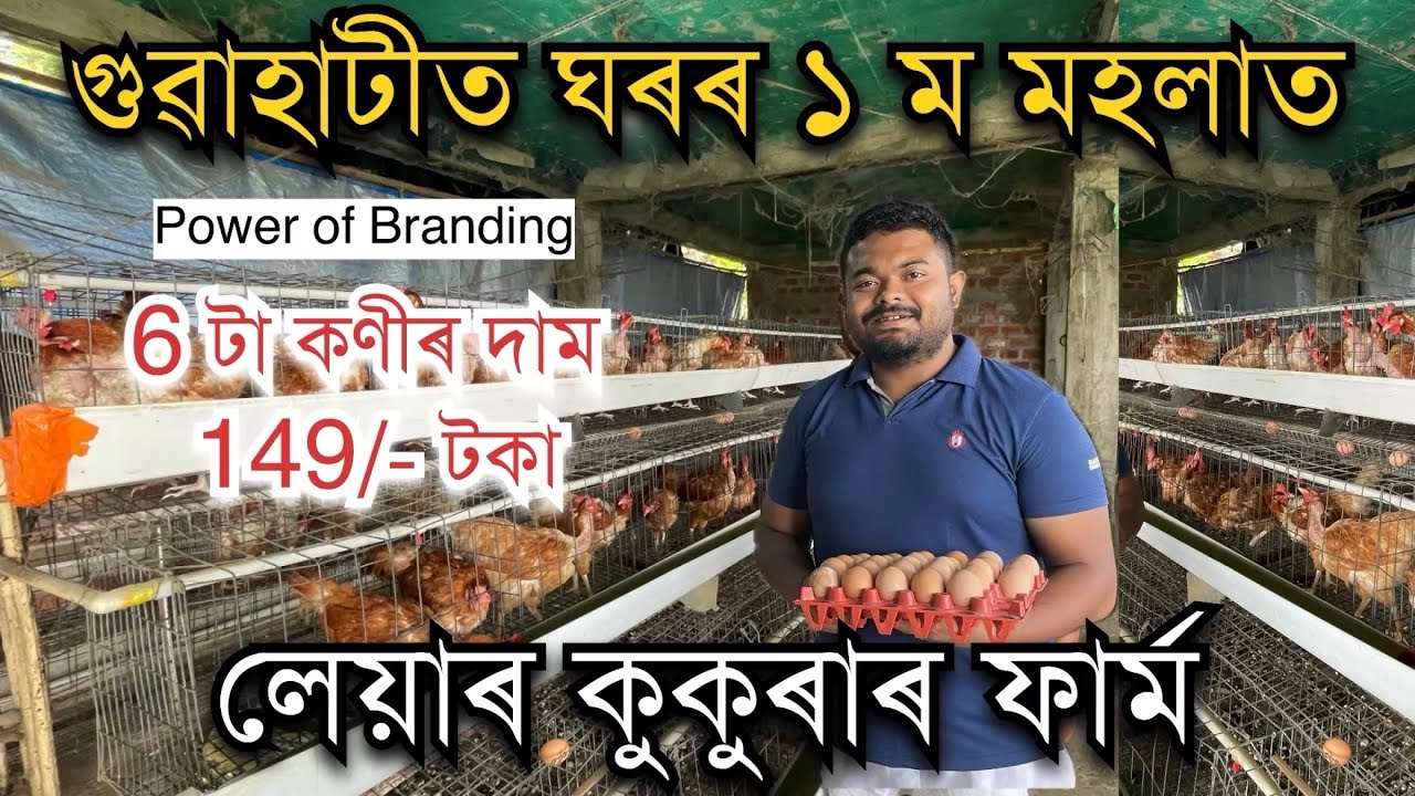 গুৱাহাটীত ঘৰৰ ওপৰত ১ ম মহলাত Layer farm | Guwahati Egg farm। Egg farm In Assam| BV 380 farm in Assam