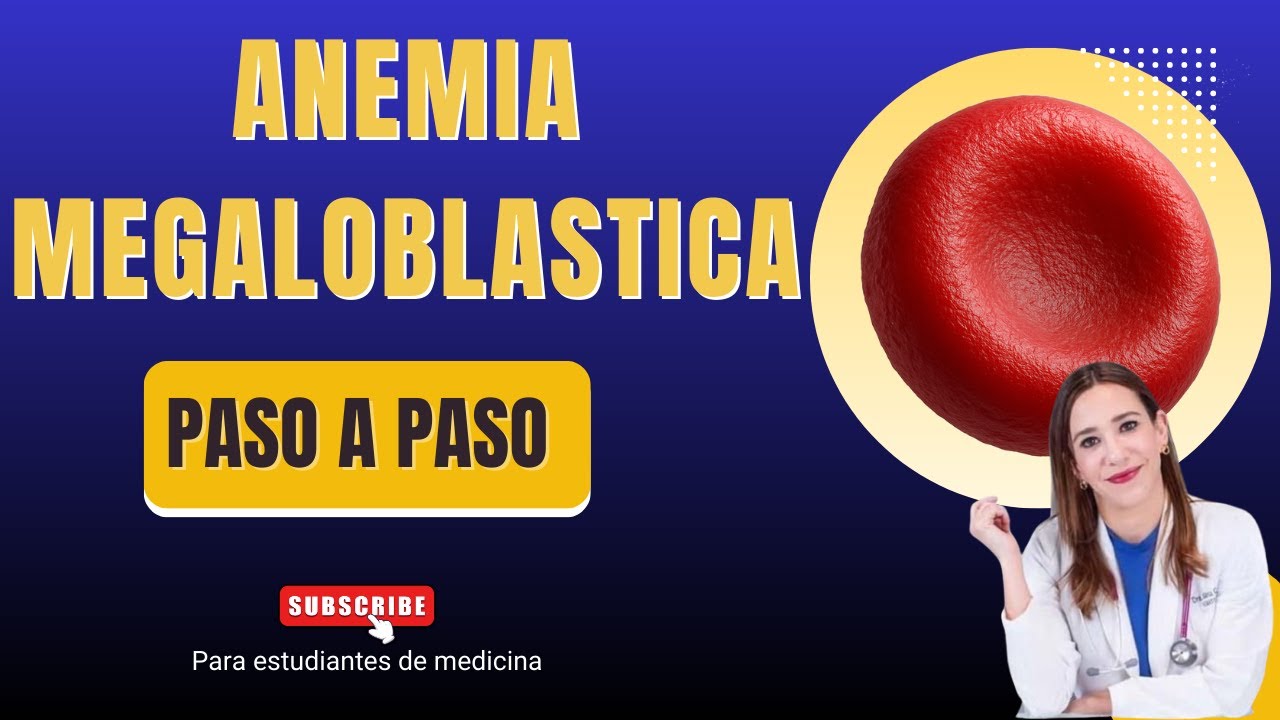 Anemia megaloblástica explicada PASO A PASO | DraSiria – Hematología para ENARM y medicina