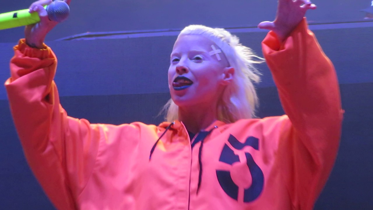 Die Antwoord - Intro/We Have Candy/WAT KYK JY - Blue Hills Pavillion - Boston, MA - August 7, 2017