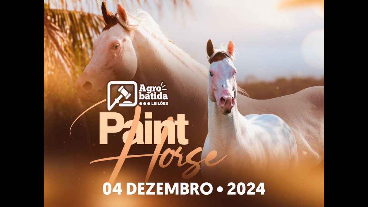LEILÃO VIRTUAL AGROBATIDA PAINT HORSE