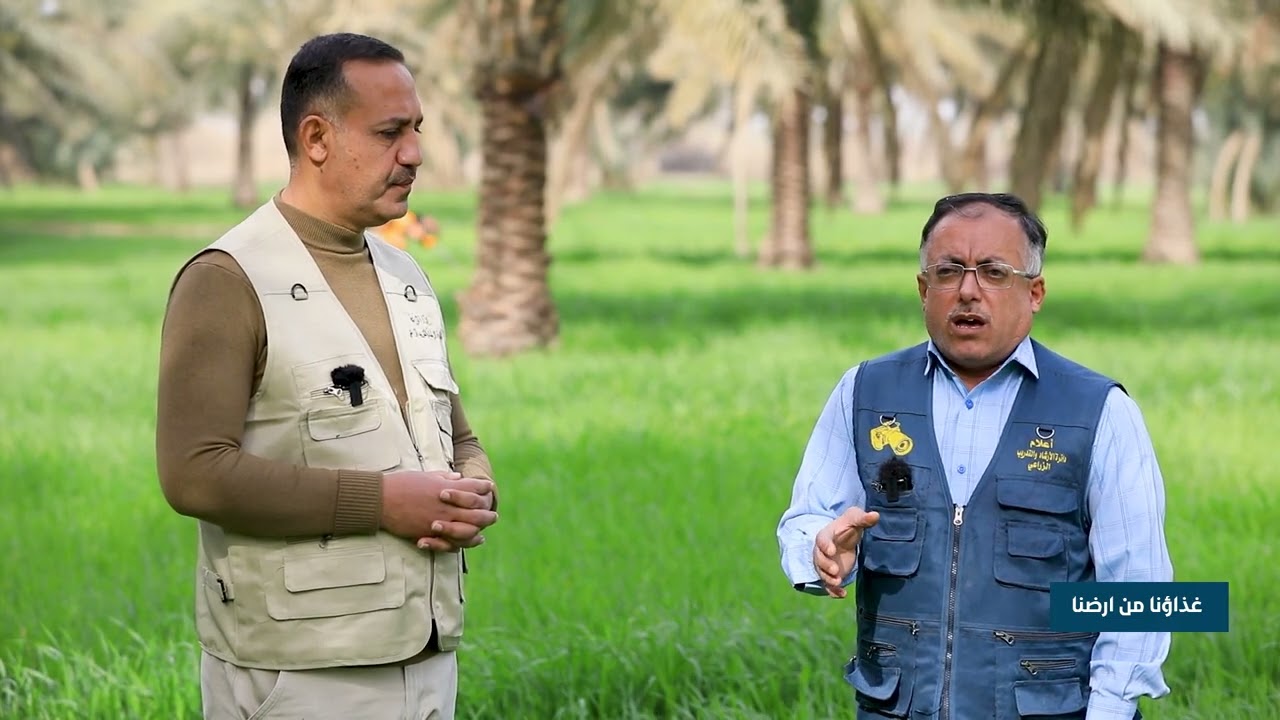 فقرة إرشادية عن سوسة النخيل
