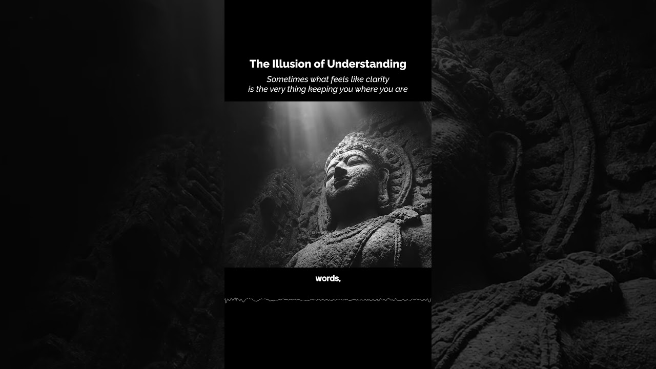 The Illusion of Understanding #SpiritualAwakening #AdvaitaVedanta #SelfRealization