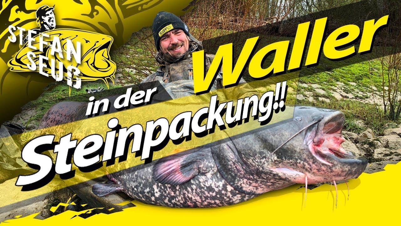 Auf Waller in der Steinpackung | Welsangeln in Deutschland | Hier gibt es XXL Fische