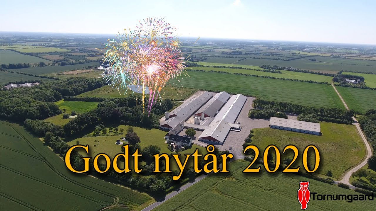 Året 2020 (nytårs video) [Tornumgård]