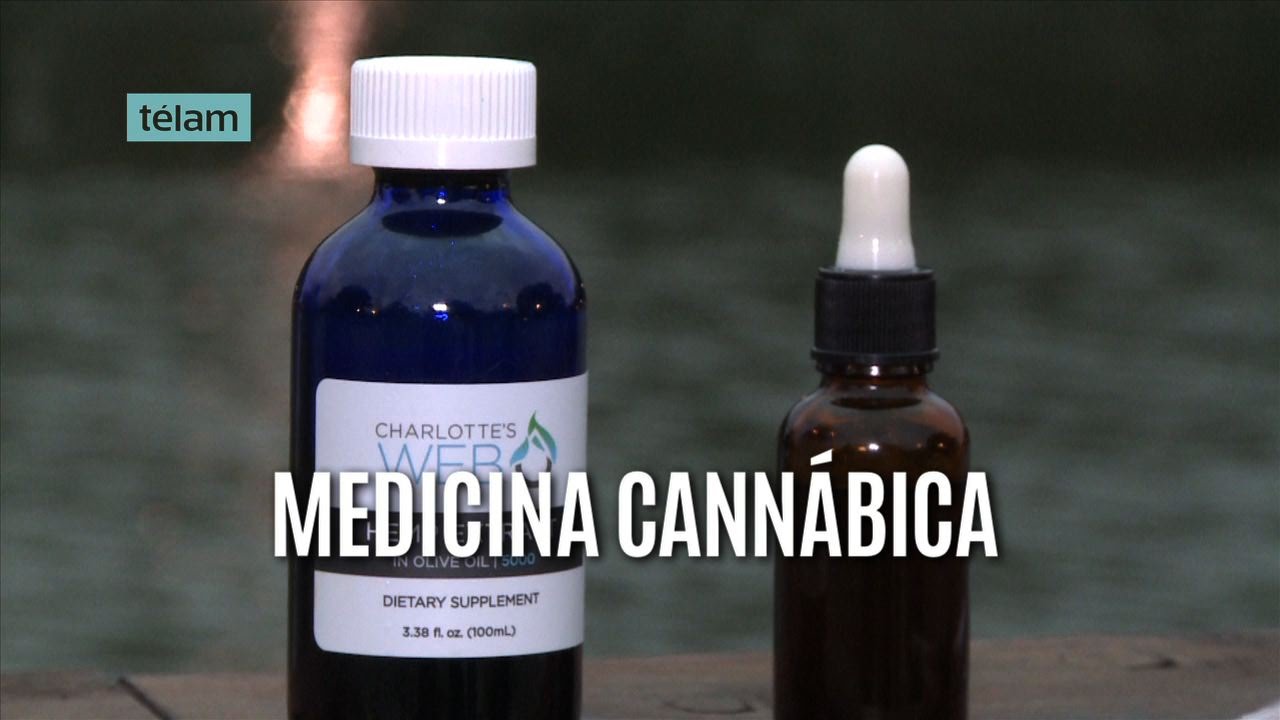 Cannabis medicinal: Una esperanza para niños con epilepsia refractaria