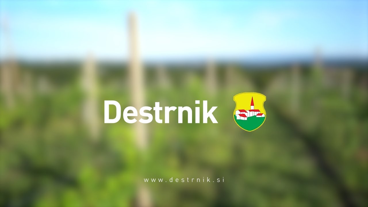 DESTRNIK | Promo film