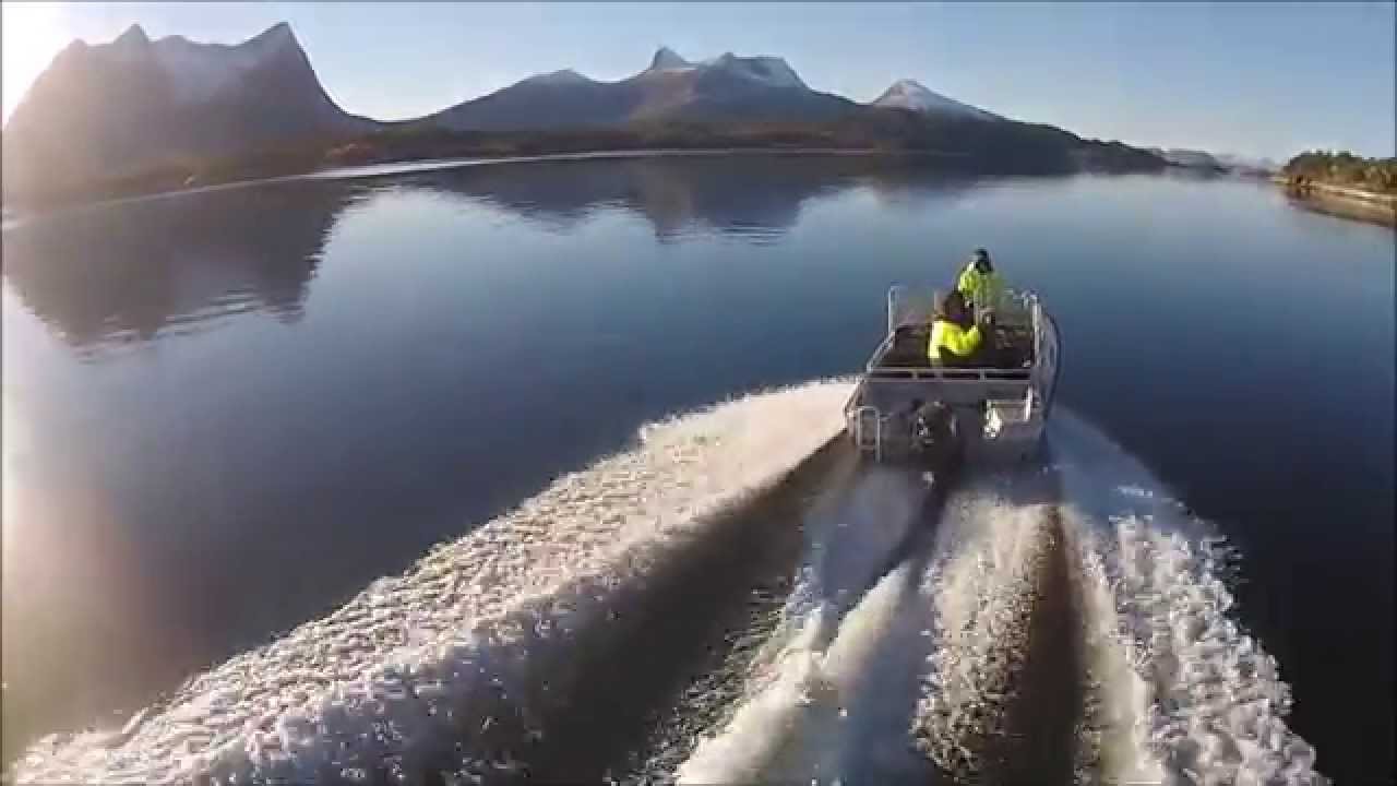 Efjord 2015