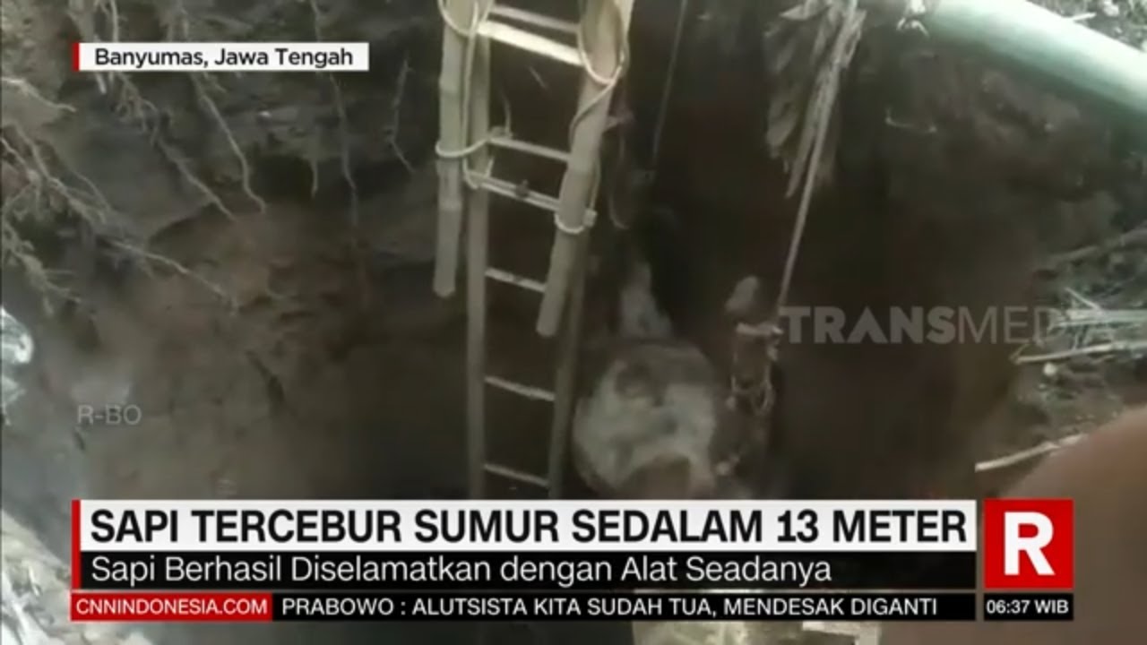 Sapi Tercebur Sumur Sedalam 13 Meter | REDAKSI PAGI (03/06/21)