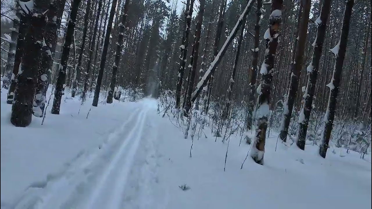 Walking in the snowy woods in Russia (no talking ASMR)