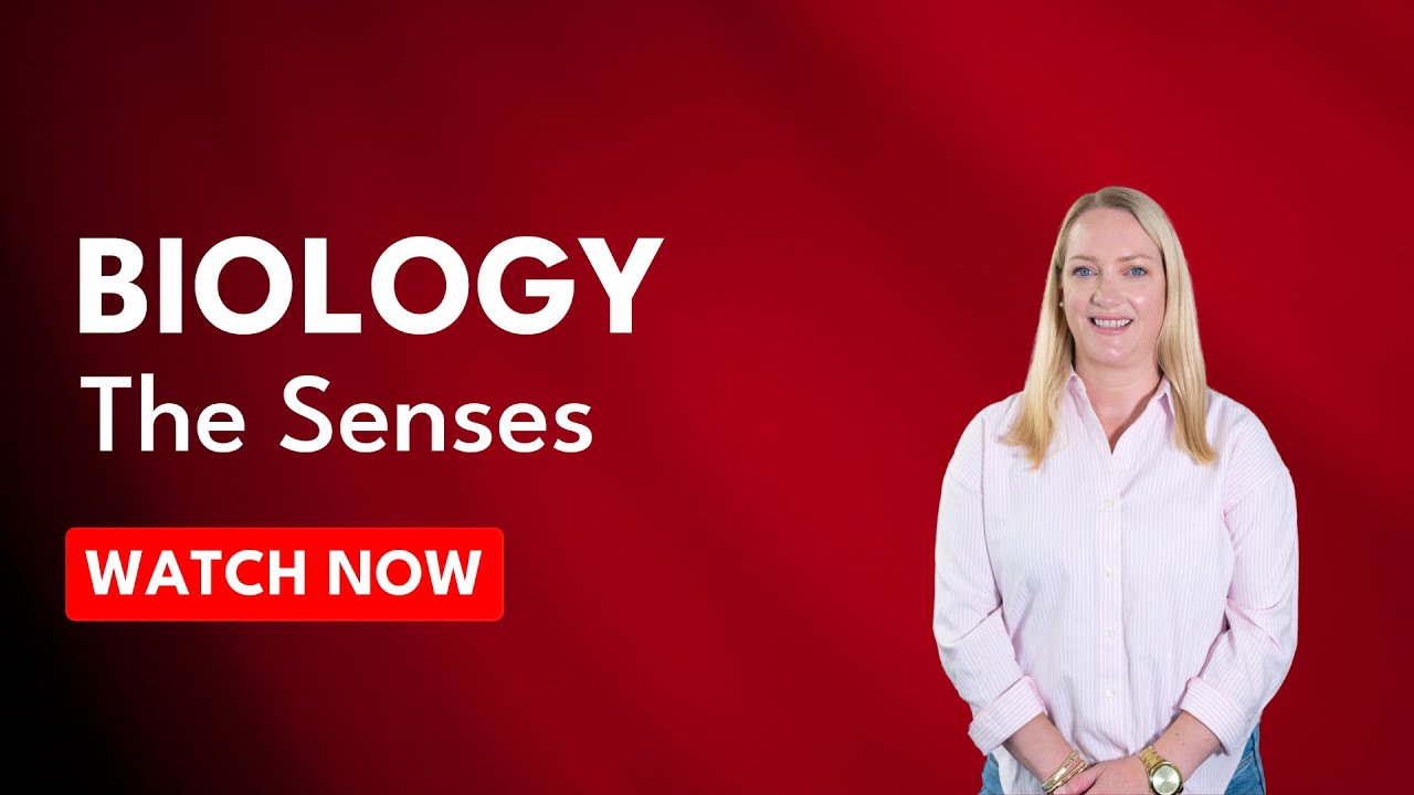 Leaving Cert Biology | The Senses