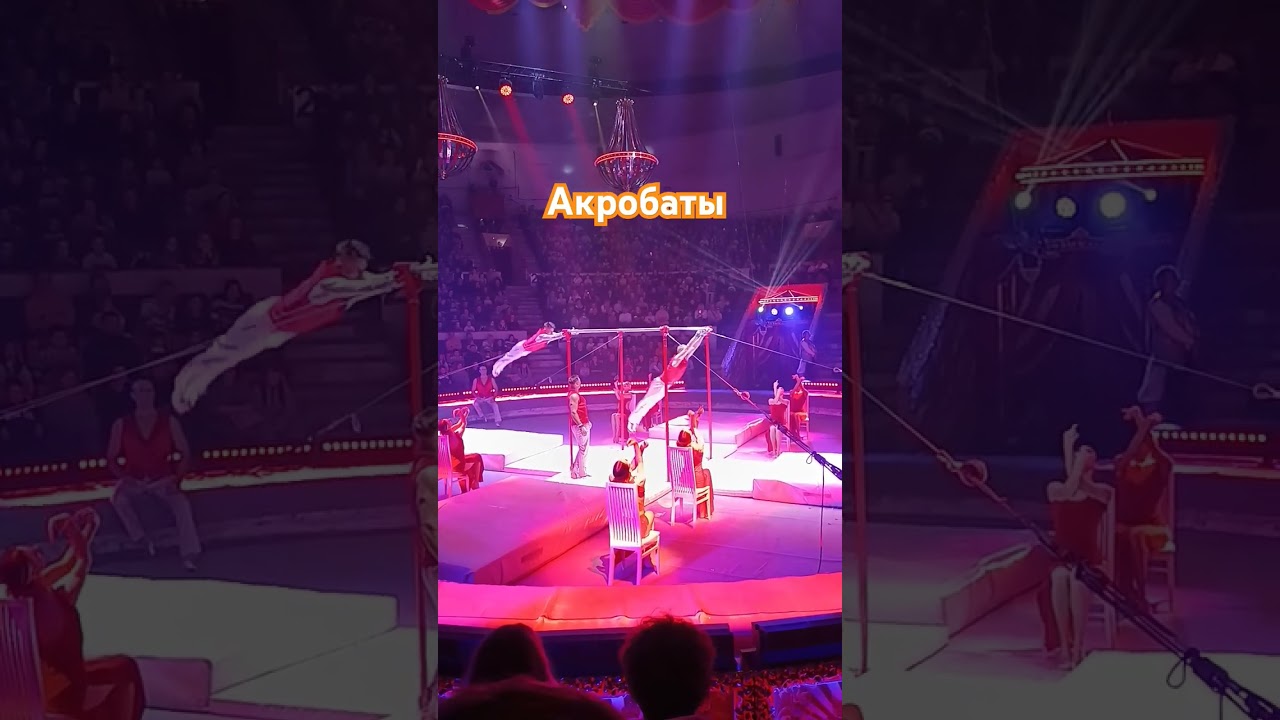 Акробаты #гииэрадзе #2025 #trending #subscribe #circus